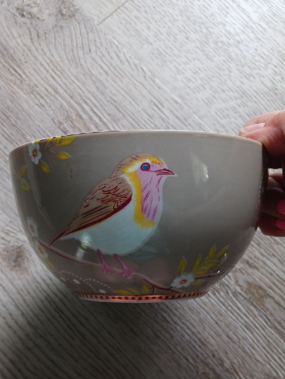 Decorative Gray Ceramic Bowl with Colorful Bird Illustration